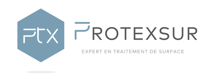 Logo PROTEXSUR