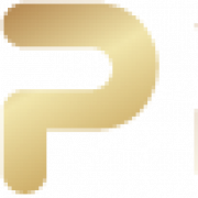 Logo PROTOP SECURITE