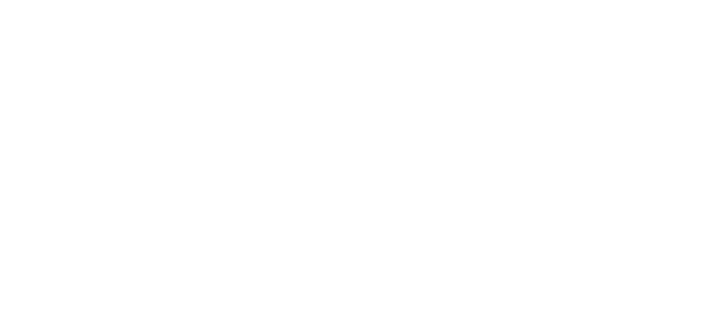 Logo PRUNEVIEILLE