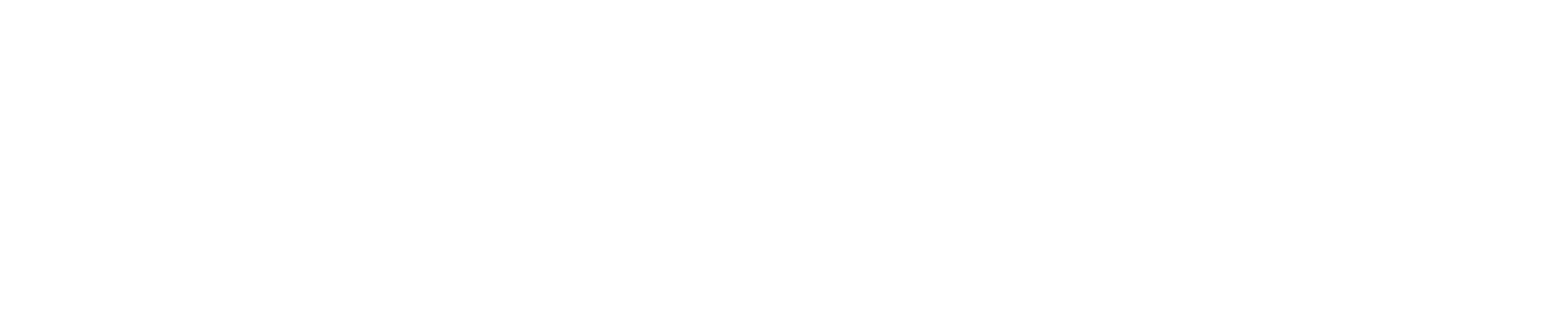 Logo PUBLIC ACTIF