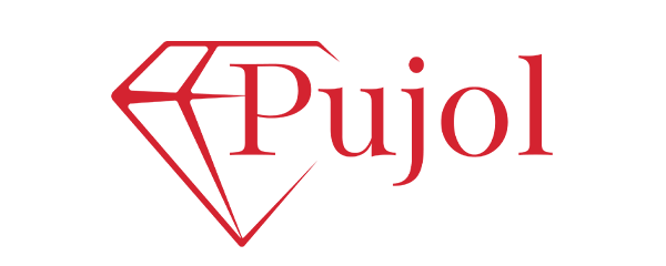 Logo PUJOL COMMERCE