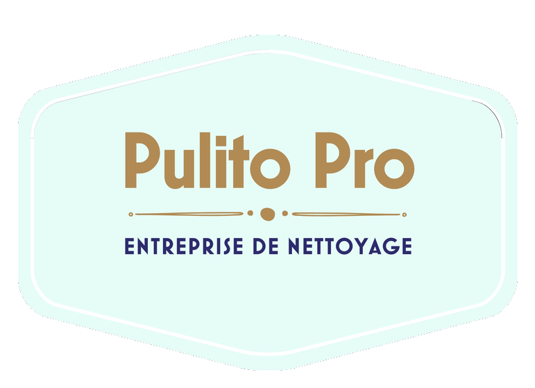 Logo PULITO PRO