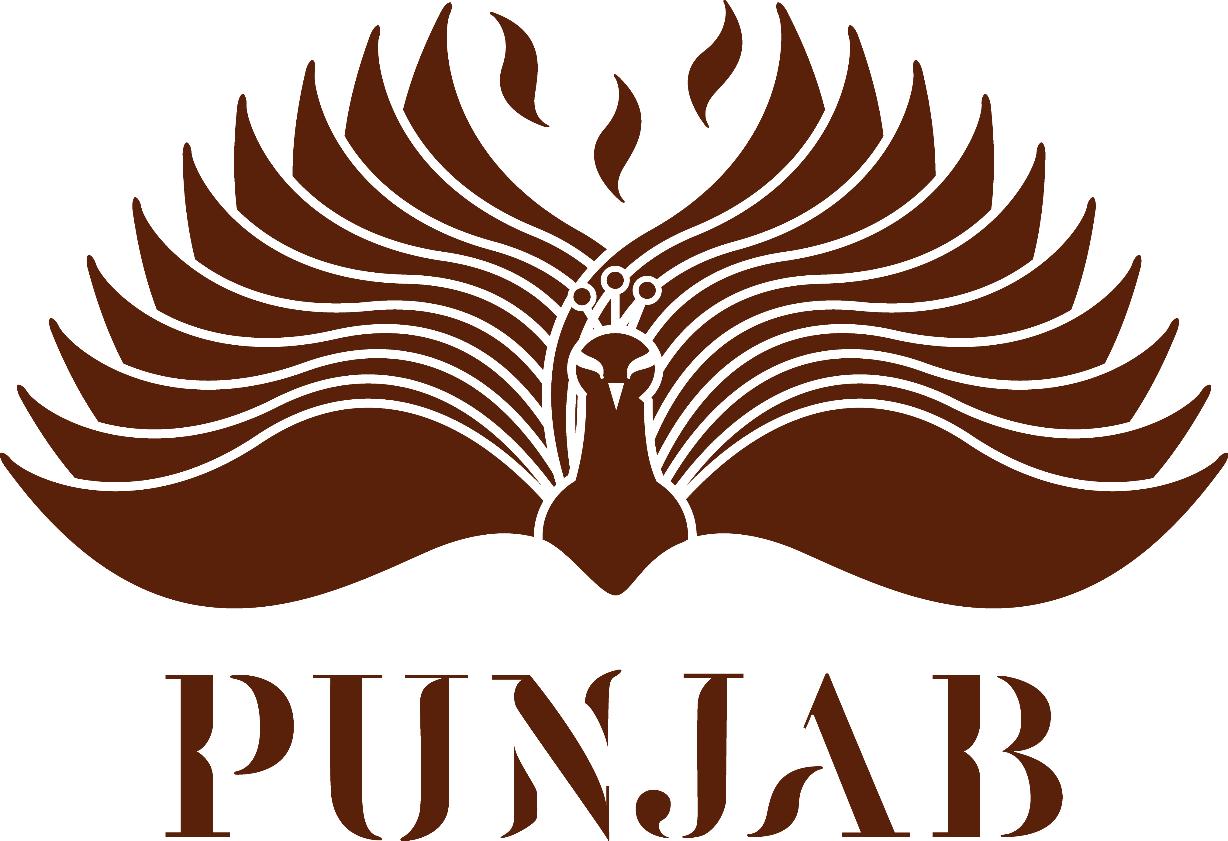 Logo PUNJAB