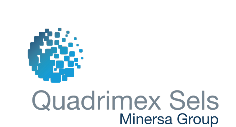 Logo QUADRIMEX SELS