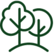 Logo RACINE ELAGAGE