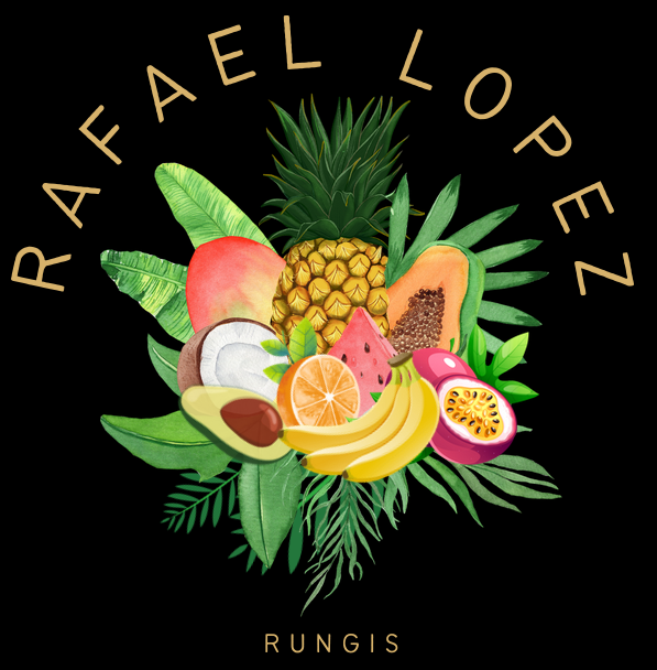 Logo RAFAEL LOPEZ S A