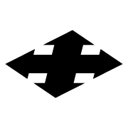 Logo RAIDLIGHT