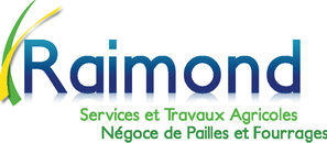 Logo RAIMOND