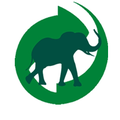 Logo RAJZWING (RM)