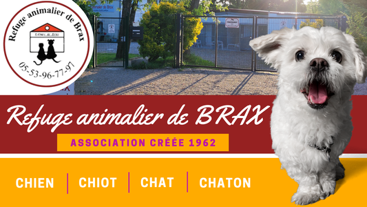Logo REFUGE ANIMALIER DE BRAX