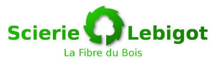 Logo REGIS LEBIGOT