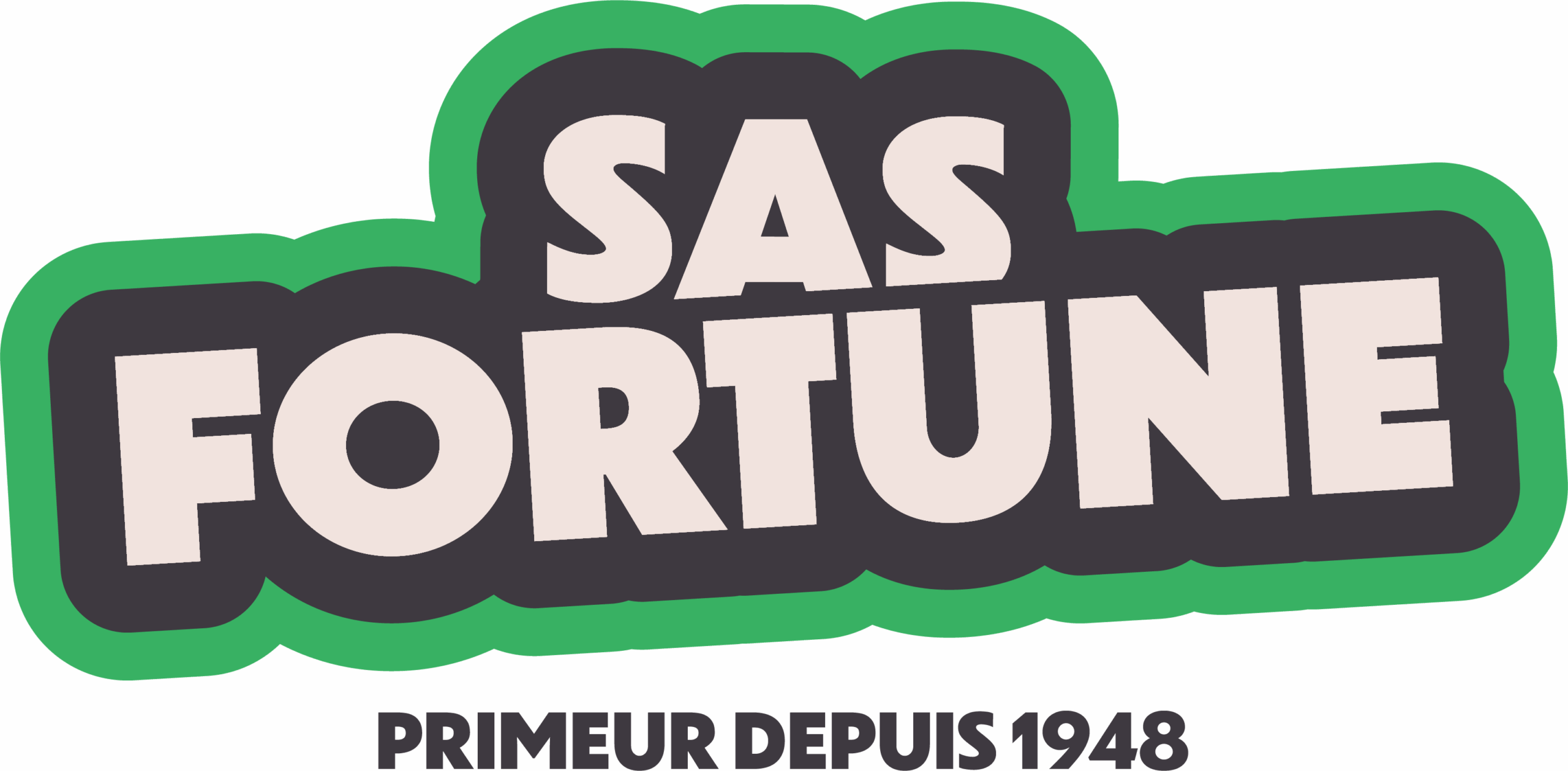 Logo REMY FORTUNE