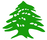 Logo RESTAURANT LE BEYROUTH