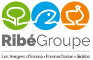 Logo RIBEGROUPE