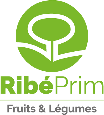 Logo RIBEPRIM