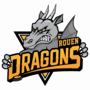Logo ROUEN HOCKEY ELITE 76