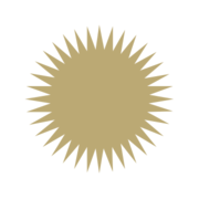 Logo RP MONTROUGE