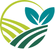 Logo Rsea