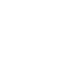Logo RUBIN SAS