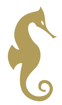 Logo RUYET FP (L'HIPPOCAMPE)