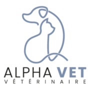 Logo S.E.L.A.R.L ALPHAVET