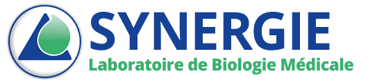 Logo S.E.L.A.R.L.SYNERGIE