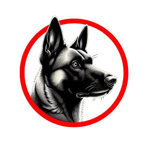 Logo S.P.I. SECURITE