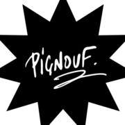 Logo S.T.O. (PIGNOUF)