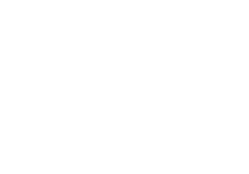 Logo S2A TP (S2A TP)
