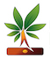 Logo SA BAUCHERY ET FILS