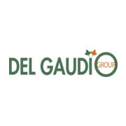 Logo SA DEL GAUDIO
