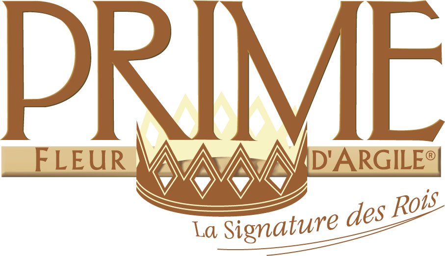 Logo SA PRIME