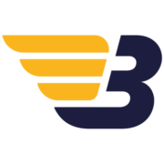 Logo SA TRANSPORTS BERGES