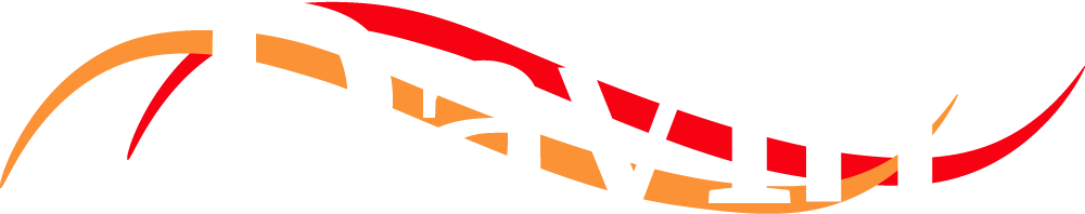 Logo SA TRANSPORTS DAVIN