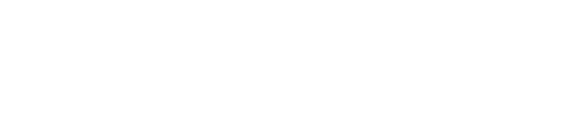 Logo SAFIR-EXPERTISE