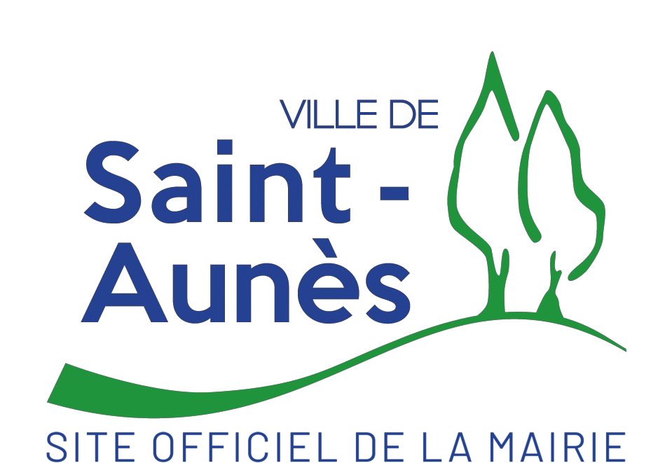 Logo SAINT AUNES SPORT DIFFUSION