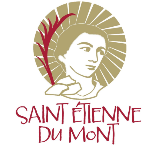 Logo SAINT-ETIENNE 55