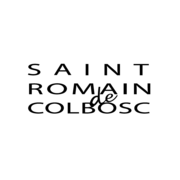 Logo SAINT ROMAIN AMBULANCES (SRA)