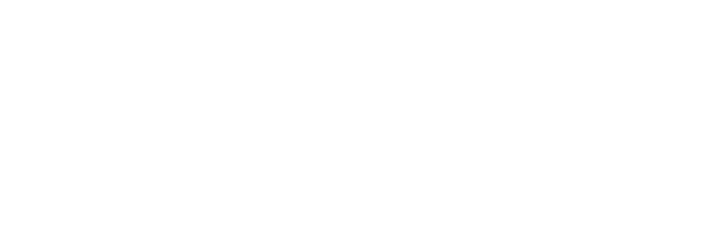 Logo SALICHON & ASSOCIES