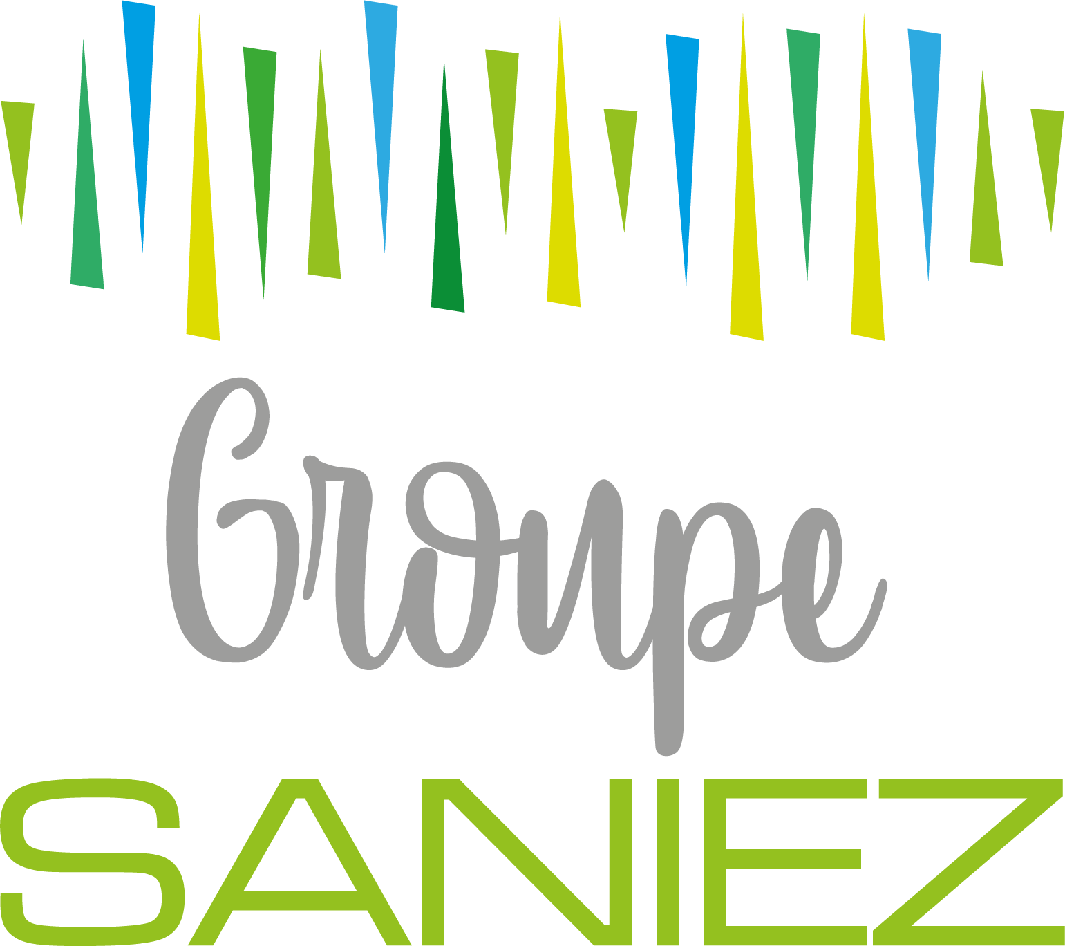 Logo SANIEZ SERVICES