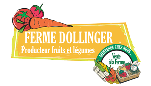 Logo SARL FERME DOLLINGER