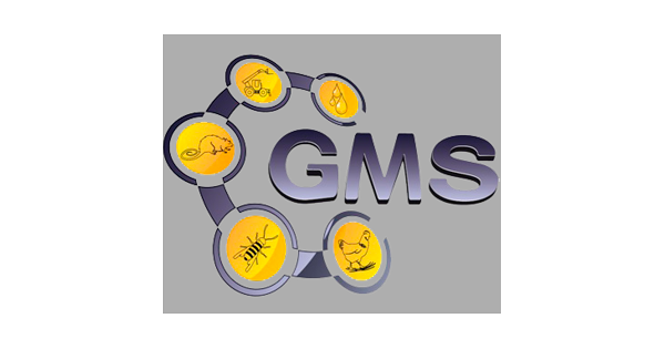 Logo SARL GMS