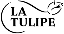 Logo SARL LA TULIPE