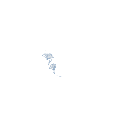 Logo SARL LA VILLA