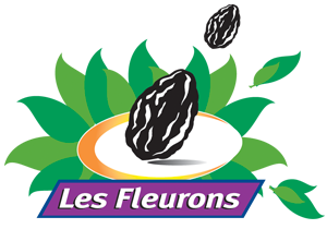Logo SARL LES FLEURONS