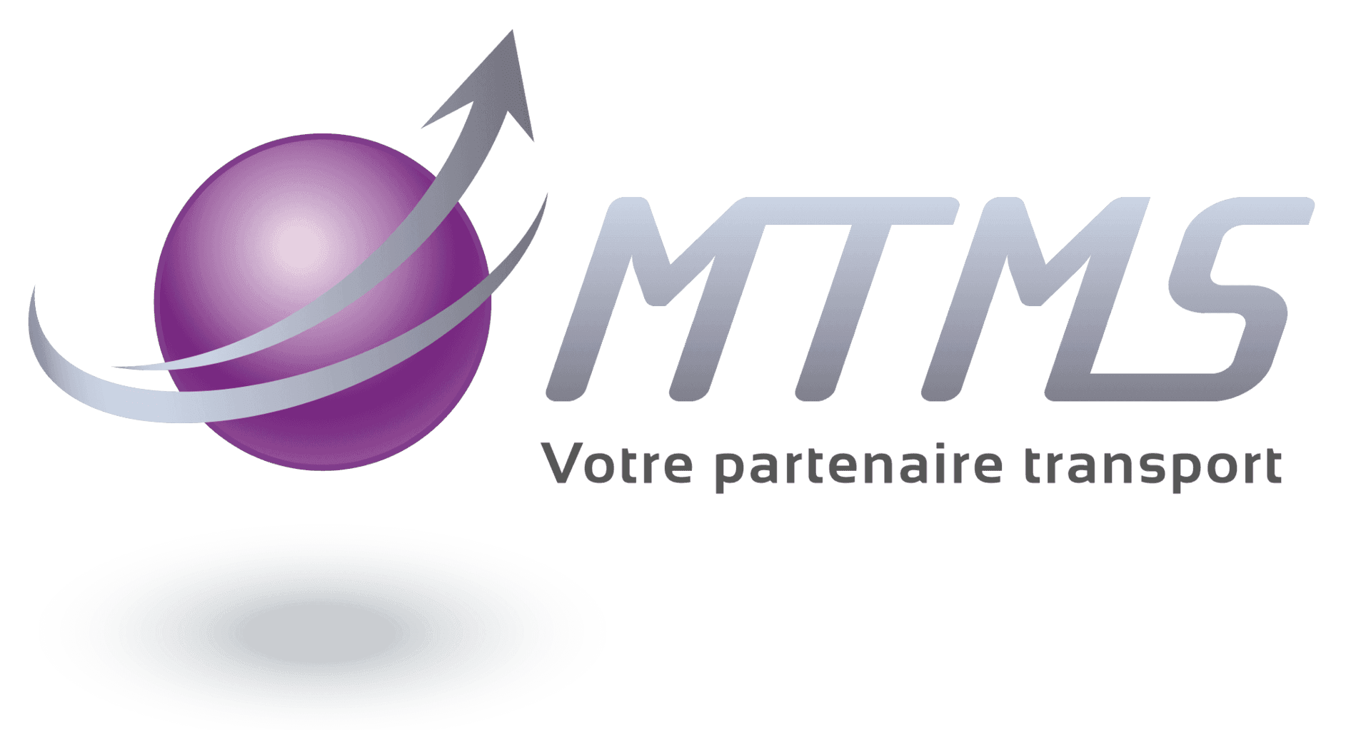 Logo SARL MTMS