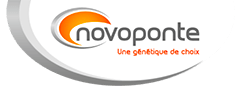 Logo SARL NOVOPONTE