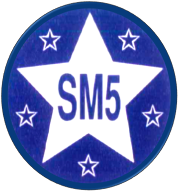 Logo SARL SM 5