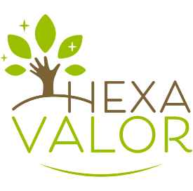 Logo SAS HEXAVALOR