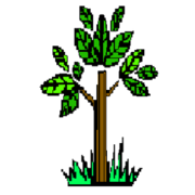 Logo SAS PAILLARD CHARPENTES